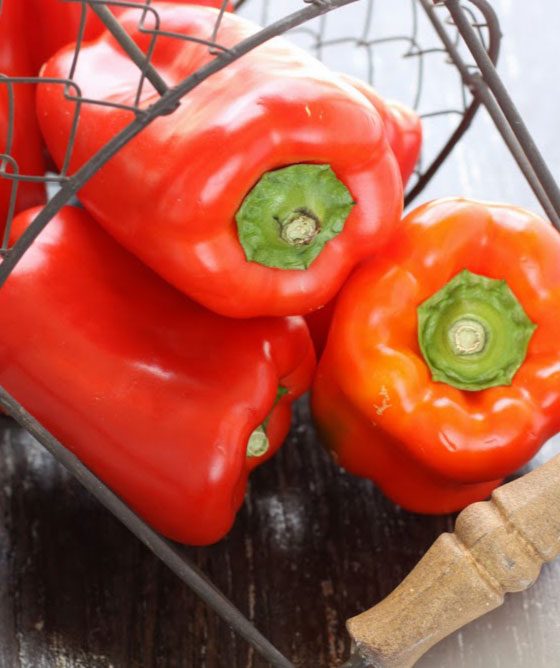 Healthy cooking tips - Health Cooking Guide - Better Food and Cooking Information