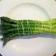 How-to-Cook-Asparagus---Cooking-Asparagus-