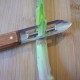 Tips on cooking asparagus — Find asparagus recipes image