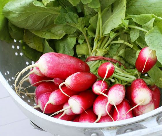 Healthy Diet Tips to Loose Weight — How to Eat Healthy To Loose Weight