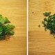 Homemade Tartar Sauce ingredient thumbnail