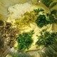 learn to cook tartar sauce at home thumbnail