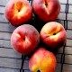 Easy peach sorbet fruit recipe thumbnail