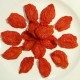 Oven-Dried Tomatoes - Tomato-Confit-Recipe image