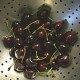 how to prepare a cherry clafoutis thumbnail