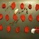 homemade oven-dried tomatoes recipe thumbnail