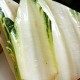 healthy chard recipe thumbnail