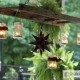 Low-Cost-decorating-Ideas-1