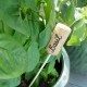 Wine Cork Garden Markers