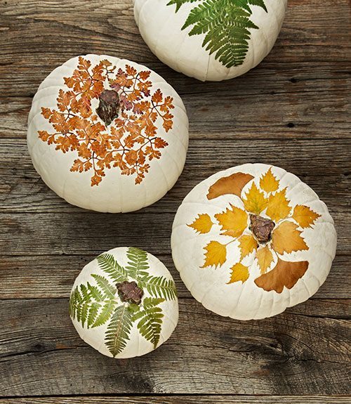 Creative Pumpkin Decorating Ideas — Eat Well 101