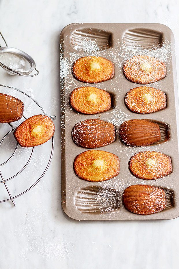 Madeleine Cakes with Honey Ginger — Eatwell101