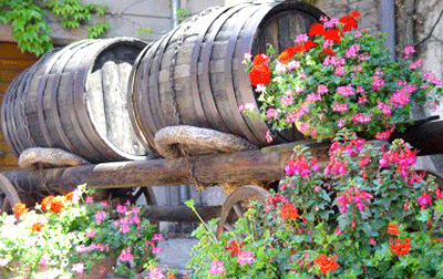 The Alsace Wine Route: Wine, Beverages and Spirits