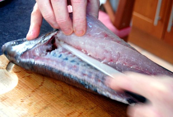 How to Fillet a Fish - Filleting Sea Bass Technique - How to Fillet a Sea Bass 