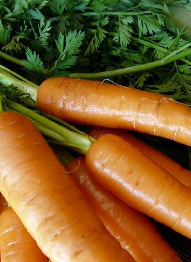 health benefits of vegetable juice — Eatwell101