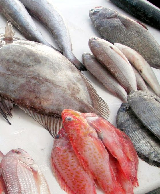 Fish Cooking Guide - The Different Fishes For Cooking - Classification of Fish for Cooking