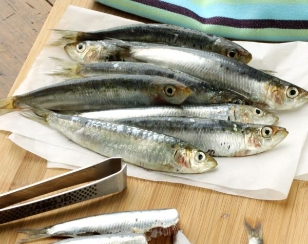 How to Check the Quality of Fresh Fish