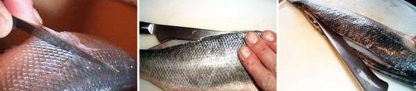 How to Fillet a Sea Bass - How to Fillet a Fish - Filleting Sea Bass Technique