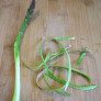 Find asparagus recipes — Tips cooking asparagus thumbnail