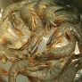 How to cook shrimp — Easy-shrimp-recipes — Homemade Garlic Sauteed Prawns Recipe — Sauteed Shimp Recipe — Easy Sauteed Prawn Recipe thumbnail