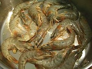How to cook shrimp — Easy-shrimp-recipes — Homemade Garlic Sauteed Prawns Recipe — Sauteed Shimp Recipe — Easy Sauteed Prawn Recipe image