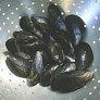 How To Prepare Mussels - how to cook mussels thumbnail
