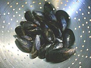 Tearn to prepare mussels - learn how to cook mussels image