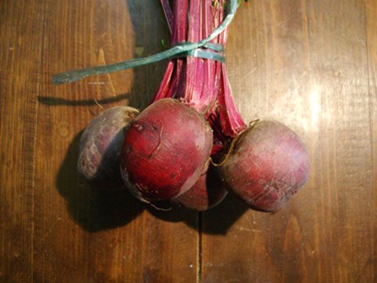 learn to cook beets in oven - easy beets recipe