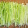 learn to cut and trim leeks slices in julienne thumbnail