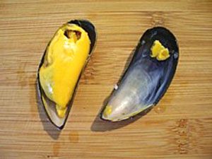 how to cook mussels with pictures - cooking mussels images image