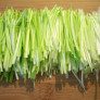 How to Cut Leeks in Julienne - julienned leeks - learn to cut julienne of leeks  thumbnail