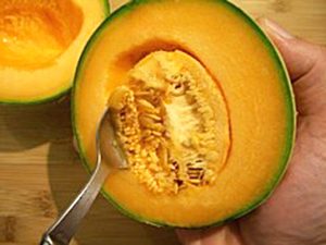 melon sorbet recipe at home image