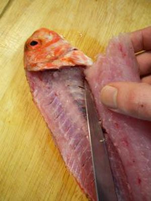 how to fillet a red mullet with a fillet knife