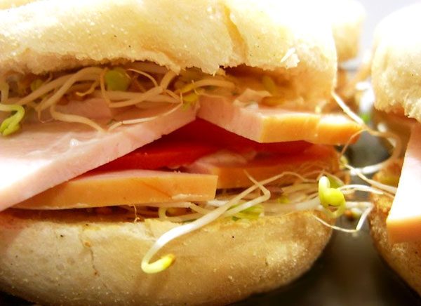 Chicken Breast Sandwich