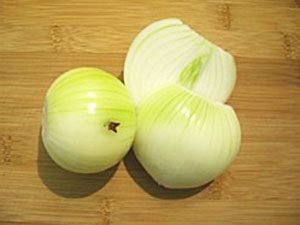 onions ingredients for veal stock image