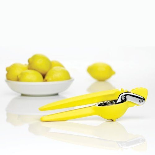 hand lemon juicer image