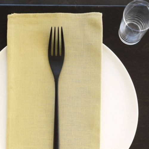 elegant linen napkins set pics