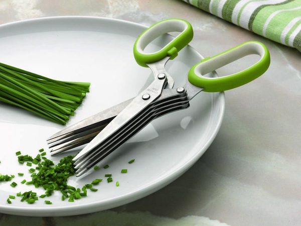 Herb Scissors photo