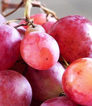 peel grape easily photo