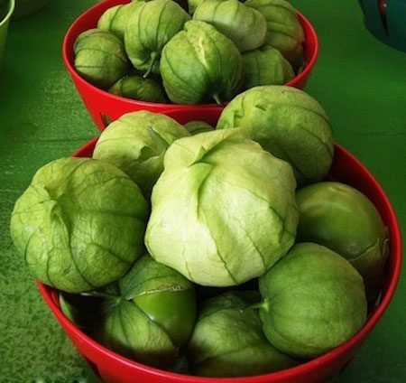 mexican tomatillo photo