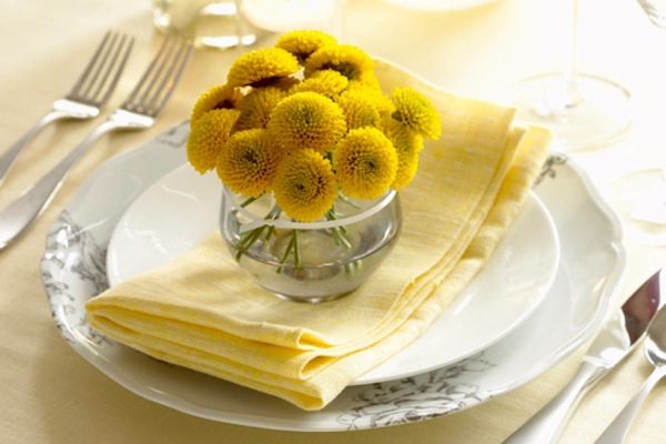 christmas Place Setting photo