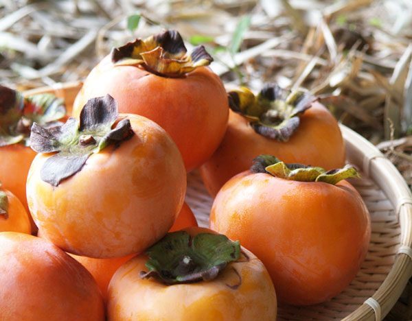 Persimmons seasonal fruits photo