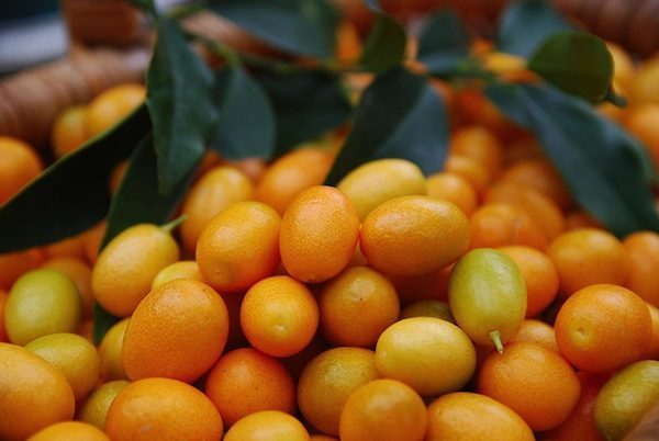 It’s Kumquats Season!