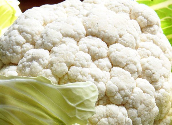 cauliflower vegetable picture