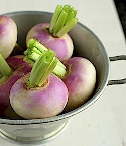 turnip light meal photo