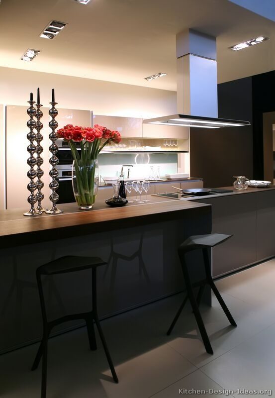 contemporary luxury kitchen design chicago