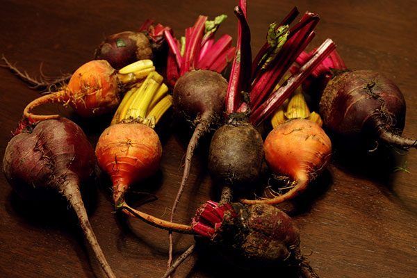In Season: Buying, Storing and Preparing Beets