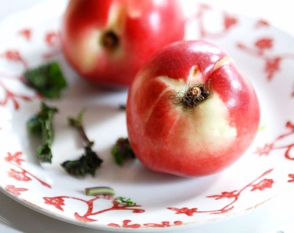 fresh nectarine salad image