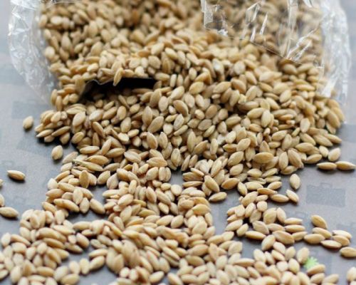 Side Dishes & Vegetables — Eatwell101 — Page 6