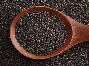 forbidden black rice image