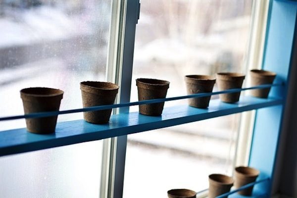 kitchen windows for plants picture
